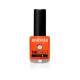 Verniz 14 Ever Super Color E6 Andreia 10,5ml