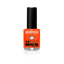 Verniz 14 Ever Super Color E6 Andreia 10,5ml