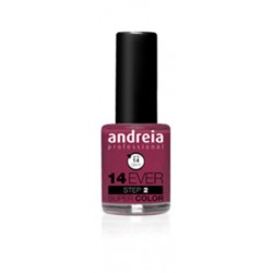 Verniz 14 Ever Super Color E10 Andreia 10,5ml