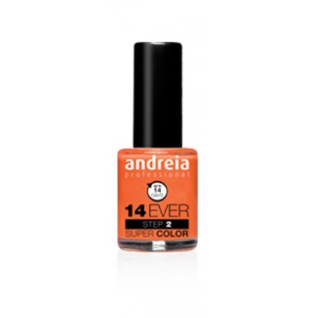 Verniz 14 Ever Super Color E12 Andreia 10,5ml