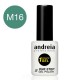 1 Minute Gel M16 Andreia