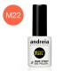 1 Minute Gel M22 Andreia