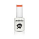 Verniz Gel Andreia 245